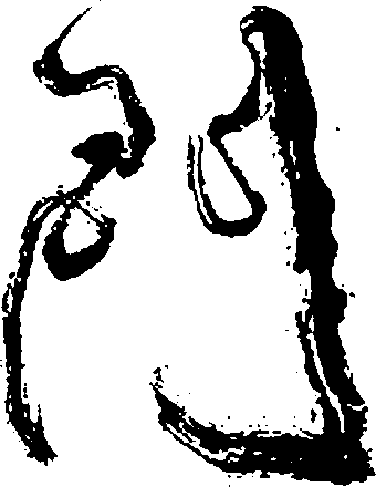 门