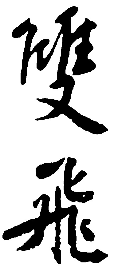 双飞