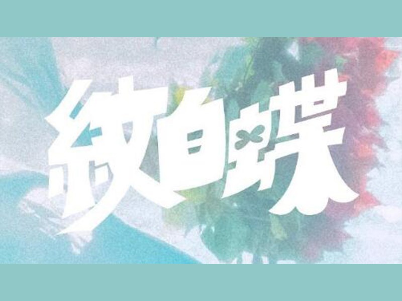 纹白蝶