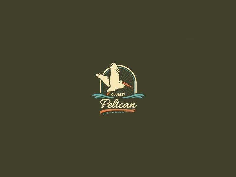 鸭