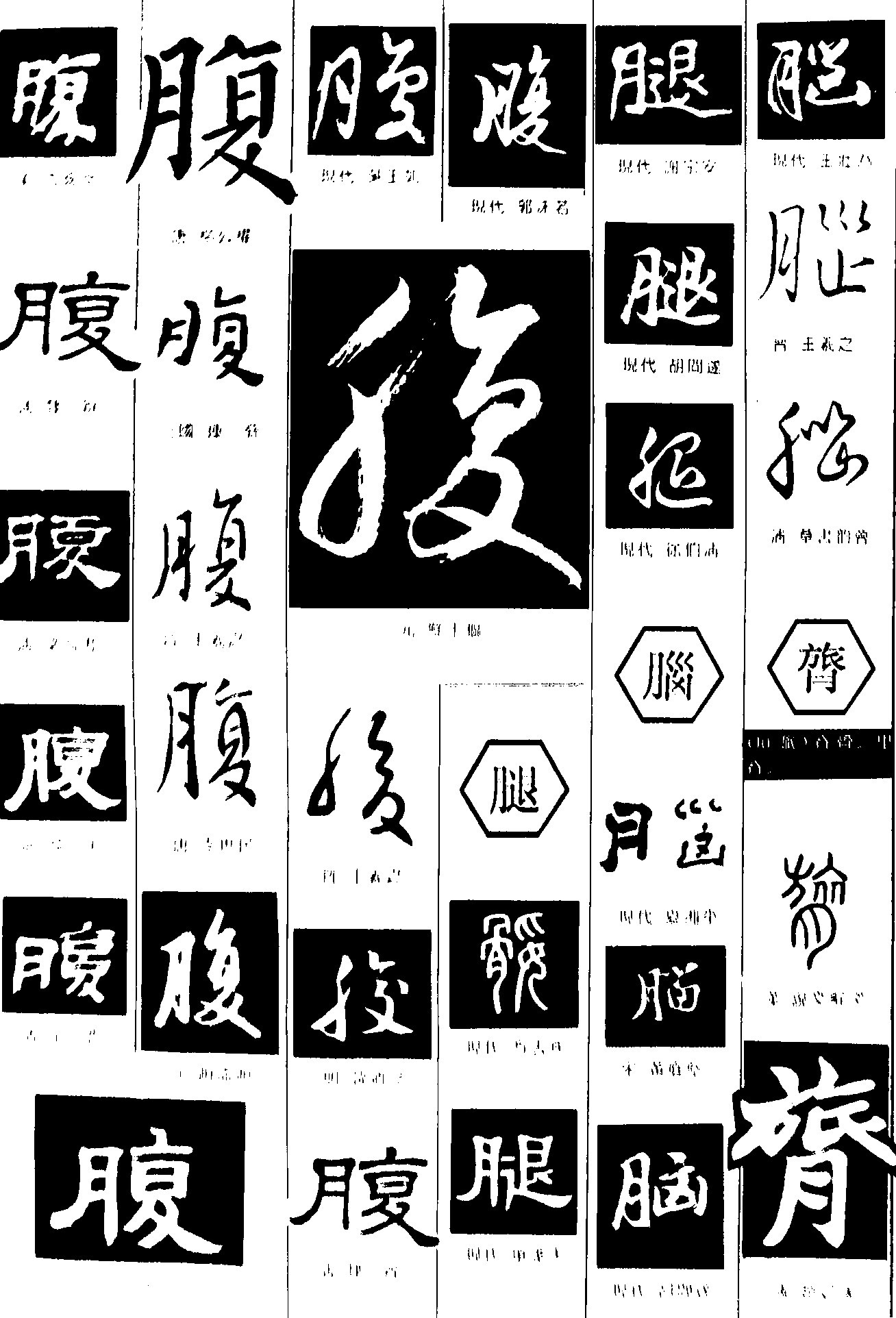 腹腿腦膂