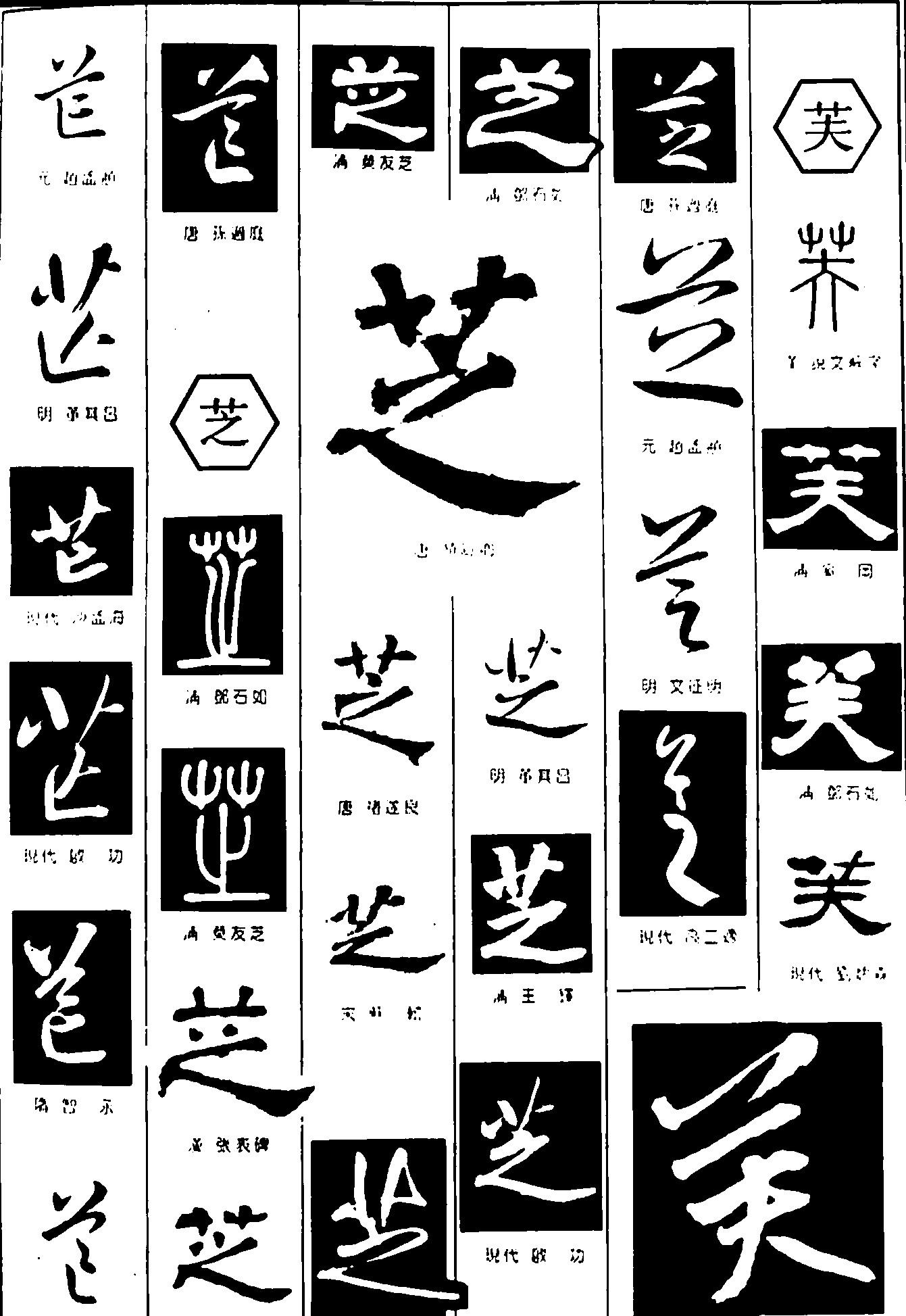 芷芝芙
