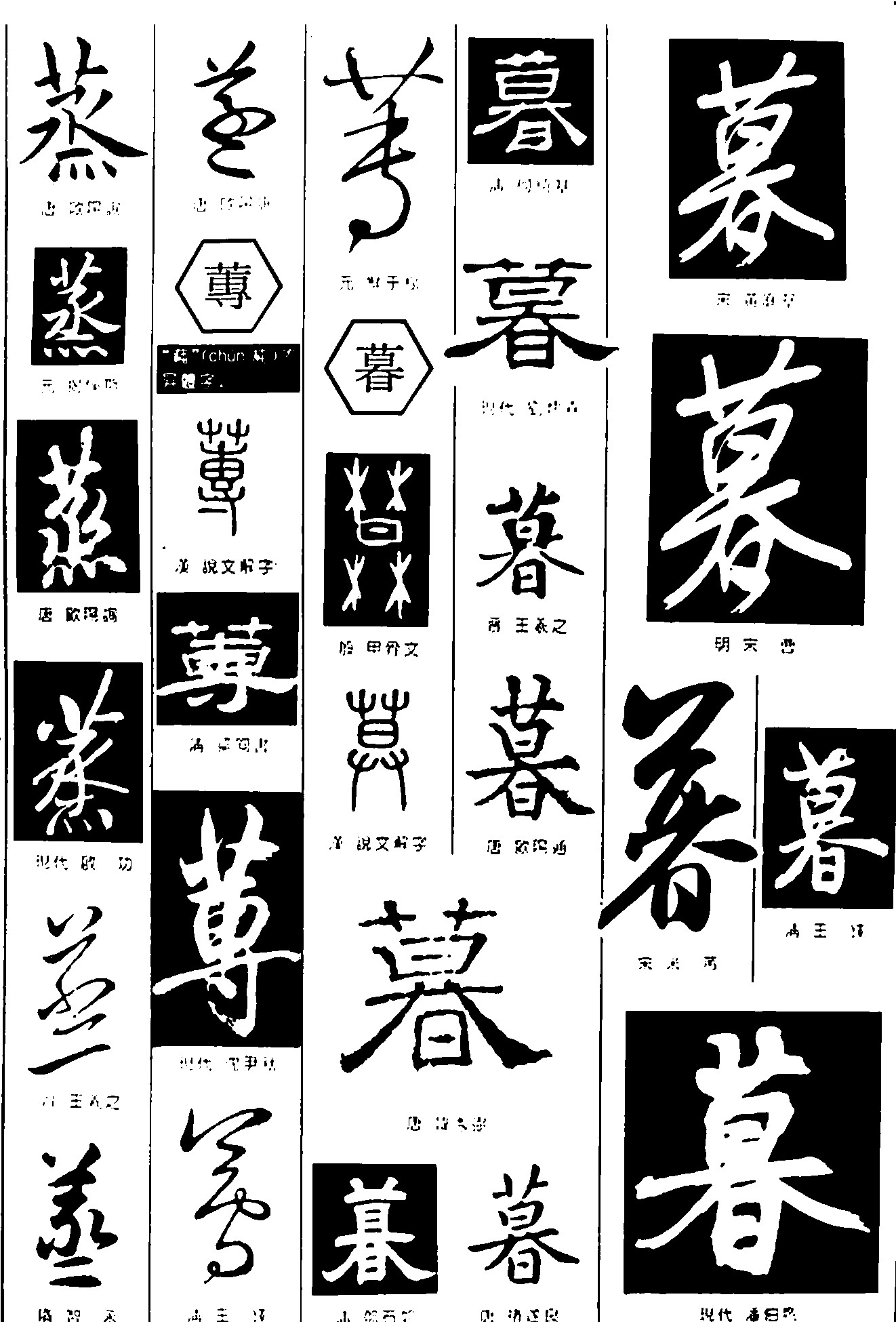 蒸专暮