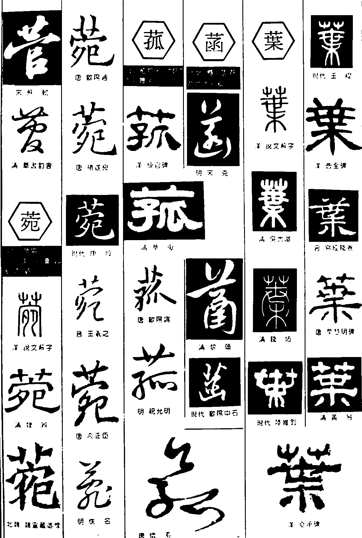 营菀菰菡叶