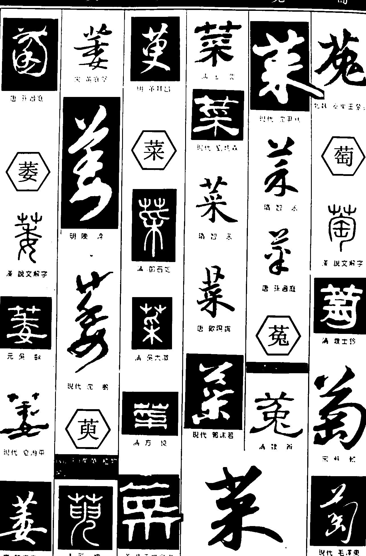 萎菜萸萄菟