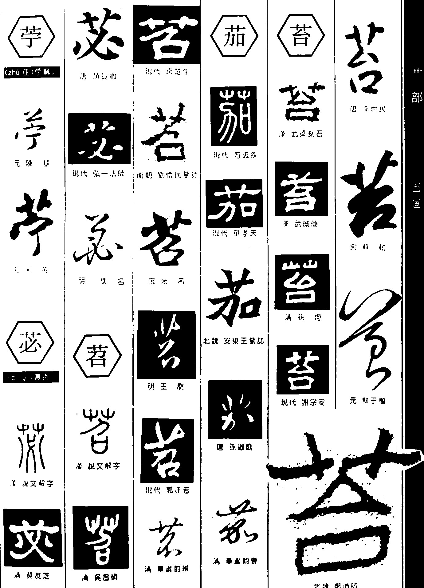 宁必苕茄苔