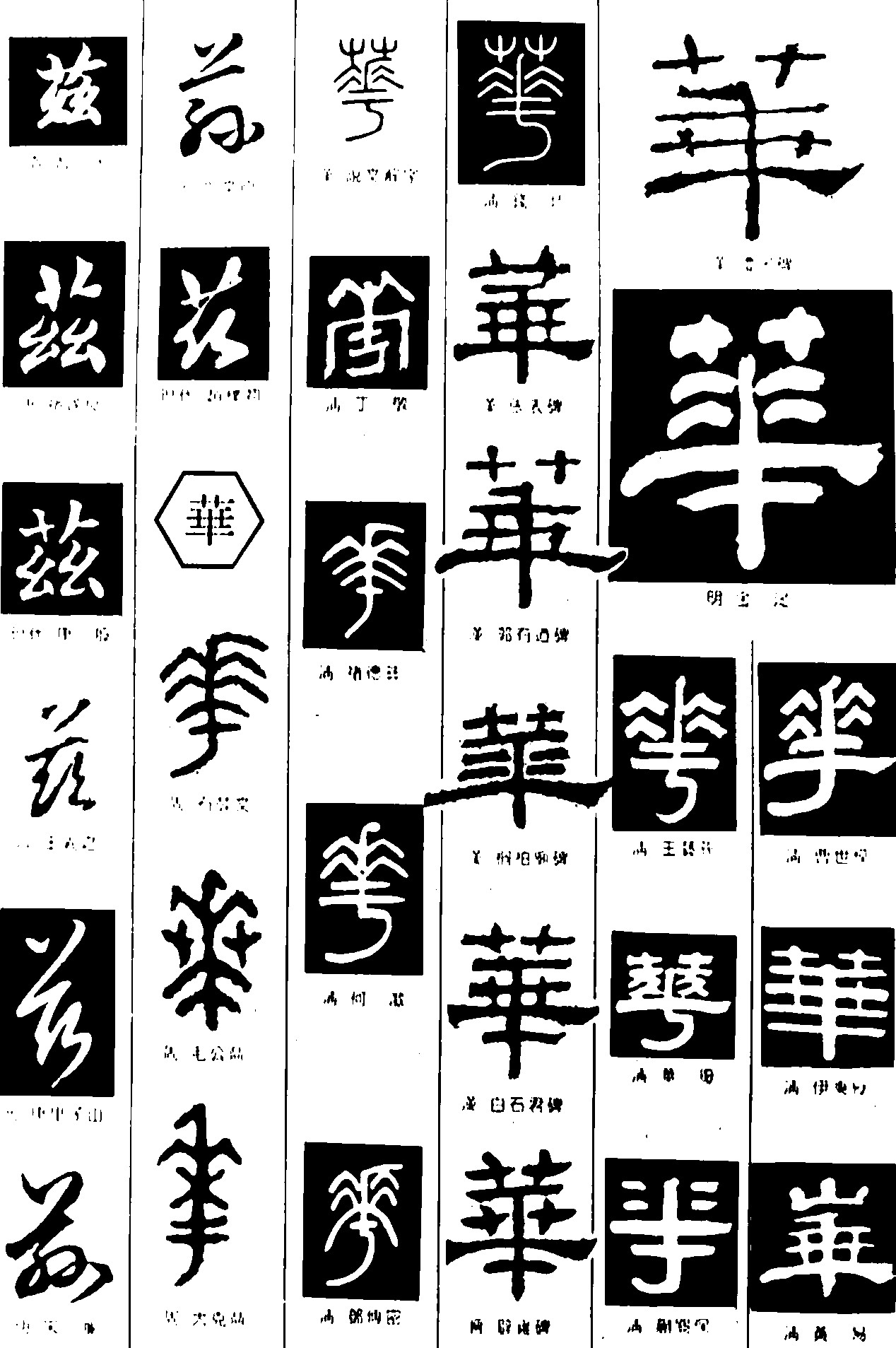 华兹