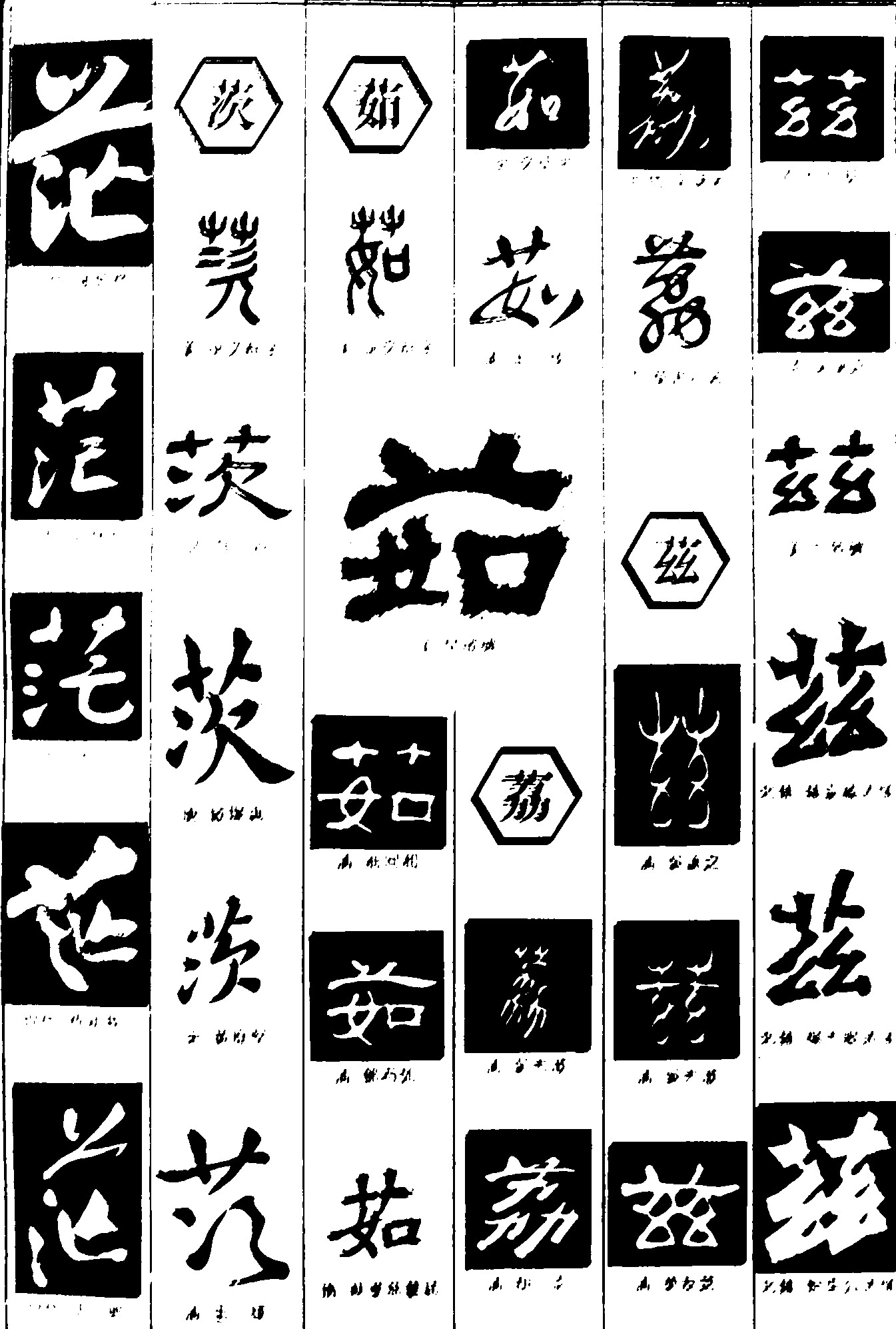 茨茹荔兹
