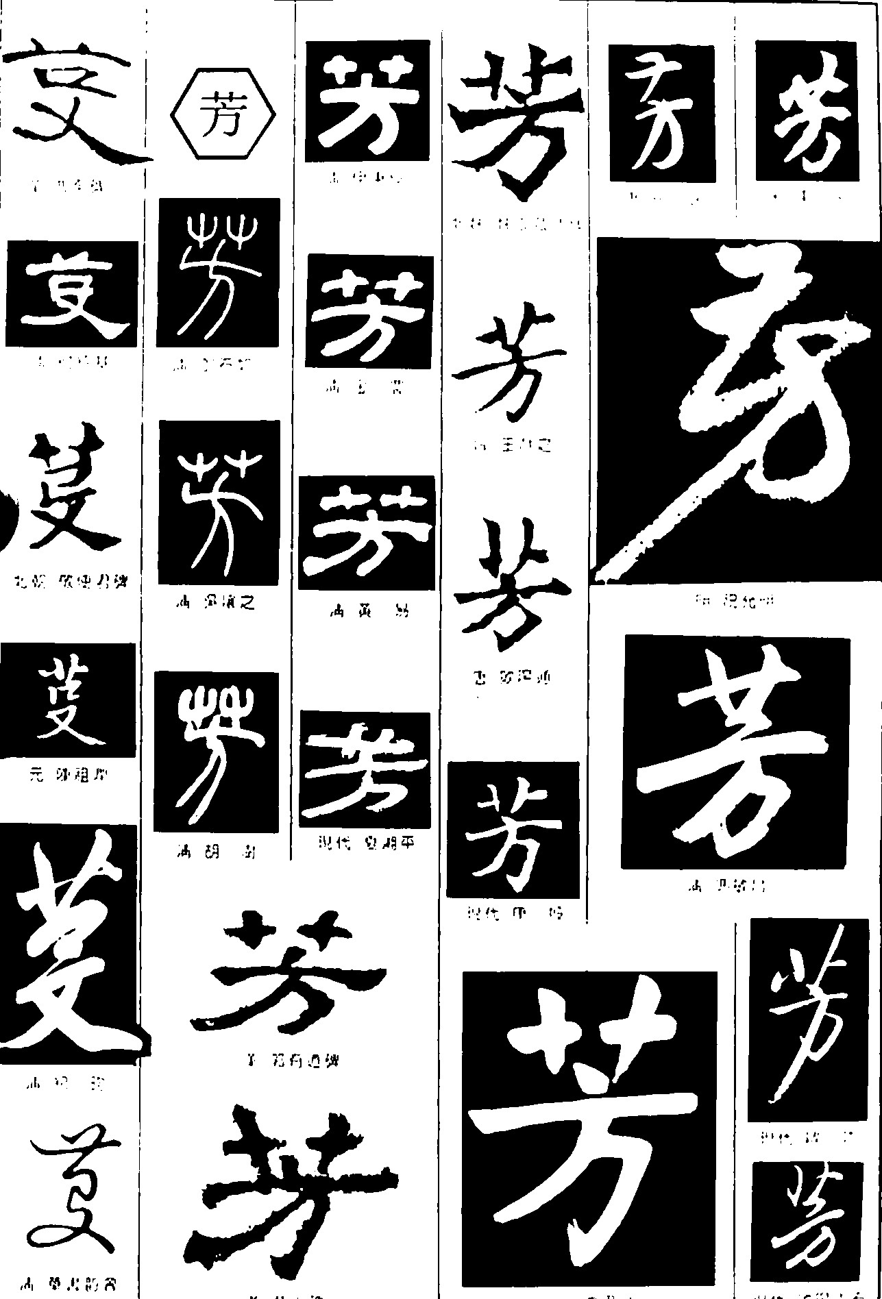 芳