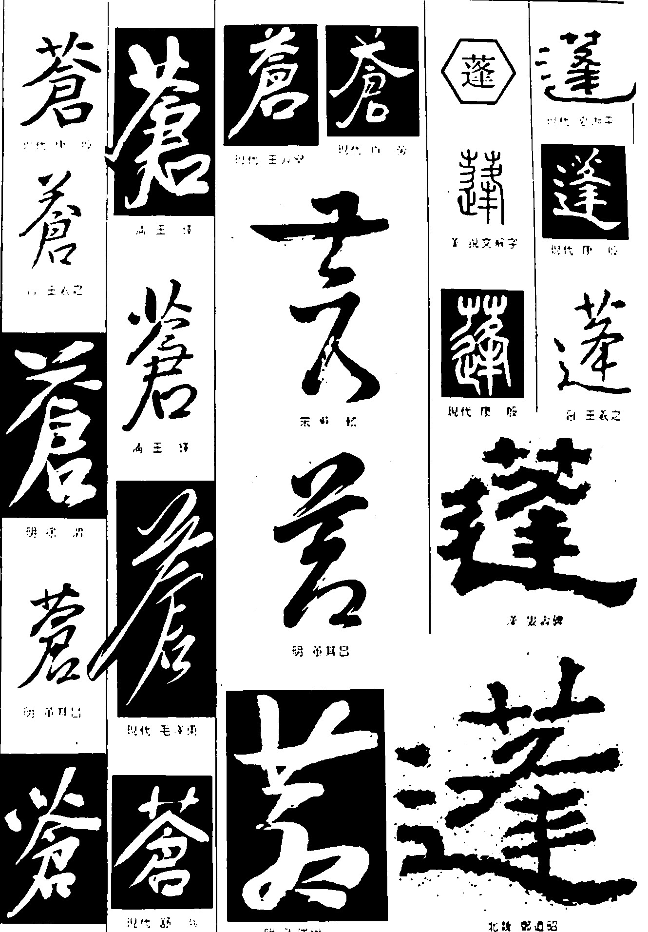 苍蓬