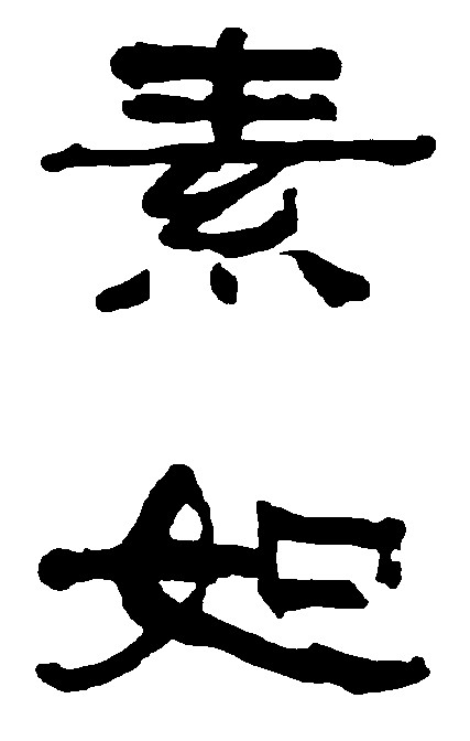 素如