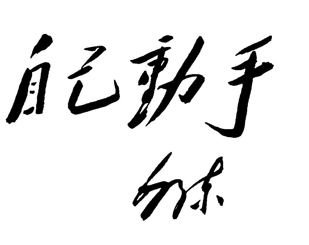 自己动手毛泽东