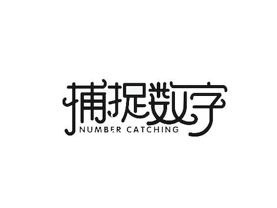 捕捉数字