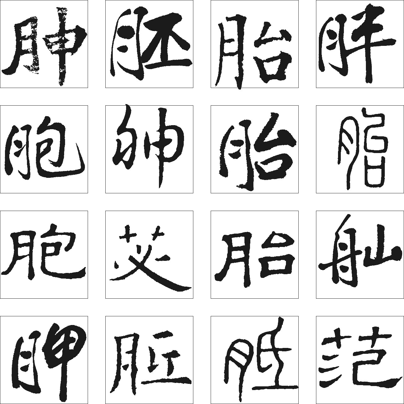 胂胚胎胖胞神脂苾舢胛胝范