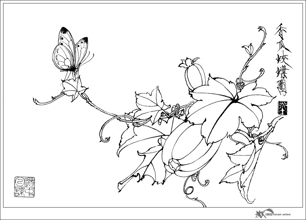 白描花卉草虫