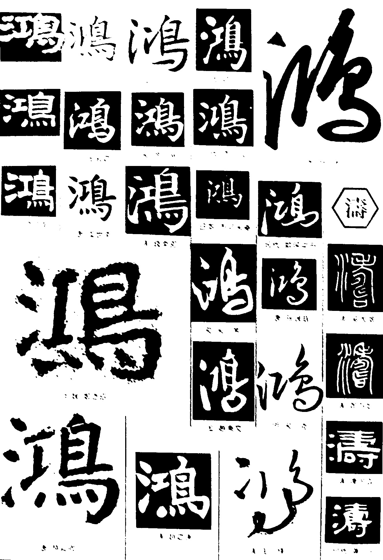 鸿涛