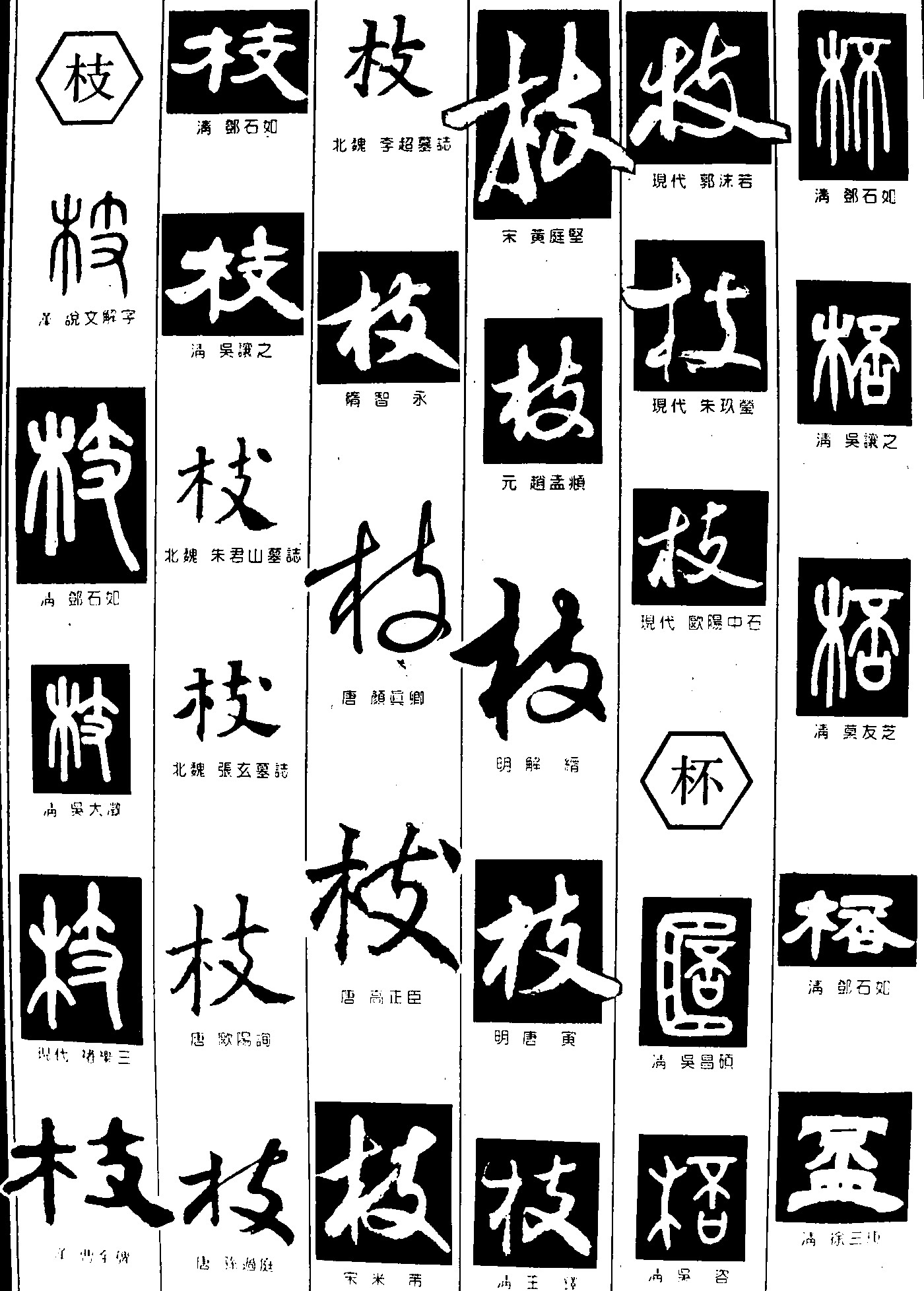 枝杯