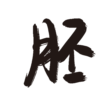 胚