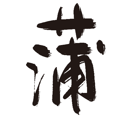 蒲