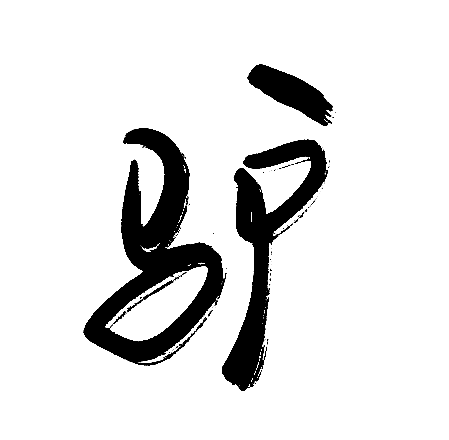 驴