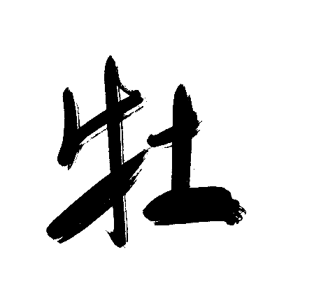 牡