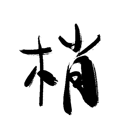 梢