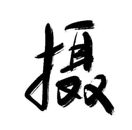 摄