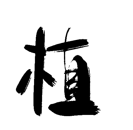 植