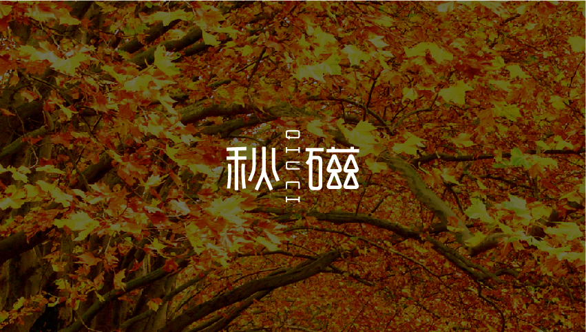 秋磁字体